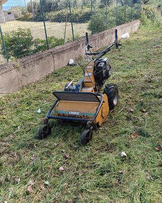 trinciasarmenti