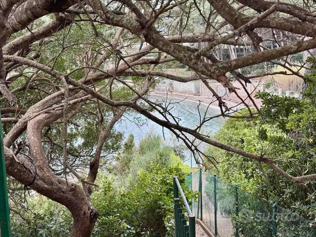 Appartamento – Cavo, Solana - Vista 4