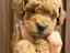 Immagine 3