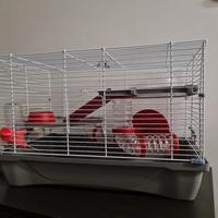 gabbietta lusso per piccoli roditori