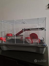 gabbietta lusso per piccoli roditori