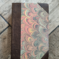 Il nuovo testamento 1920