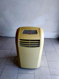 Pinguino climatizzatore Nikkei