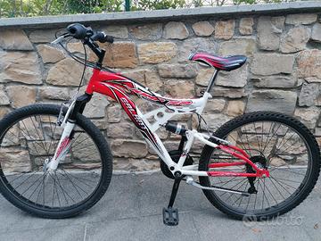 bicicletta ragazzo