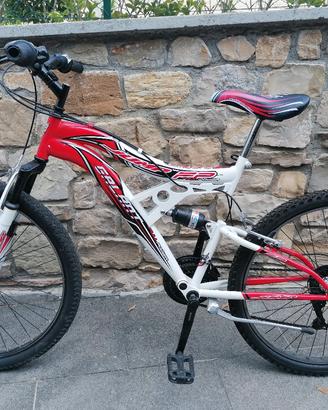 bicicletta ragazzo