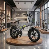 Fat bike elettrica
