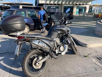 HONDA TRANSALP