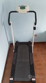 Tapirulant magnetico