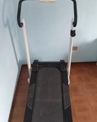 Tapirulant magnetico