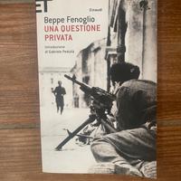 Beppe Fenoglio - Una questione privata