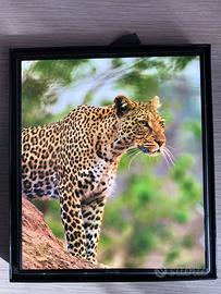 Samsung galaxy Z fold 6 Perfetto CON SPEN ORIGINAL