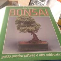 Libro    bonsai