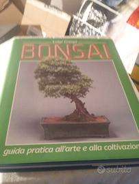 Libro    bonsai