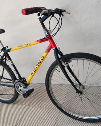 Bicicletta Pengo cambi shimano 26 pollici