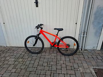 bicicletta ragazzo