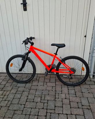 bicicletta ragazzo
