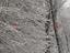 Immagine 19