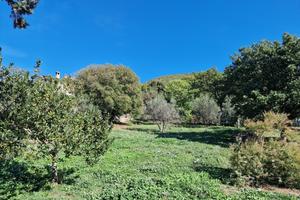 Industriale a Lugnano in Teverina