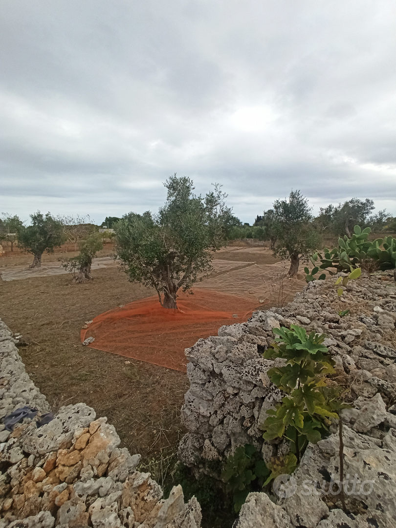 Terreno Agricolo - Vista 3