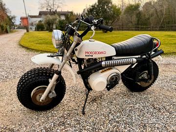 MOTOZODIACO Tuareg 250