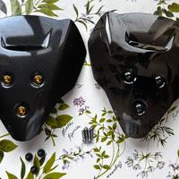 2 Cupolini Ducati Streetfighter V4