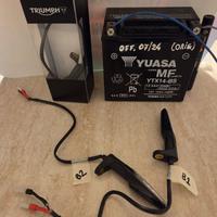 Frecce dinamiche Triumph