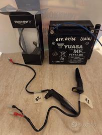 Frecce dinamiche Triumph