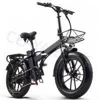 Bicicletta Elettrica