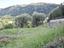 Immagine 13