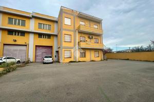 MULTILOCALE A SELARGIUS