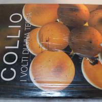 Libro  " Collio - I volti di una terra"