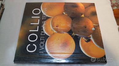 Libro  " Collio - I volti di una terra"