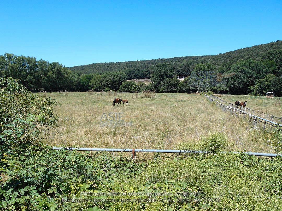Terreno Agricolo Siena [A4352465] - Vista 2