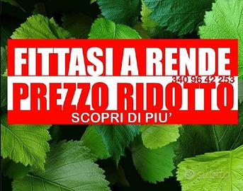 Stanze a Rende (CS) Singole o Doppie