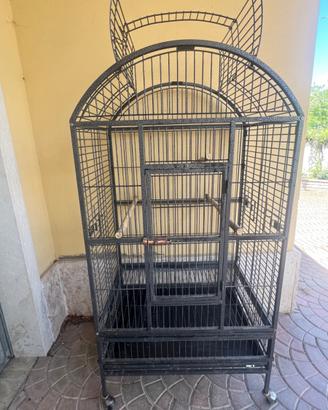 GABBIA PAPPAGALLI ARA
