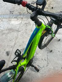 Giant fathon jr ebike