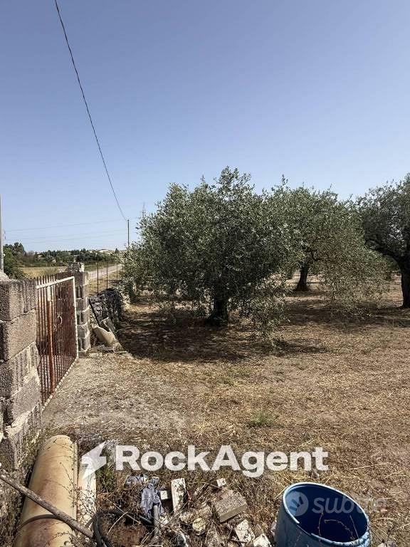 Terreno di 3500 m² a Florinas - Vista 4