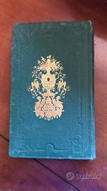 Buffon 1861 Mame cartonnage verde oro - Giraffa