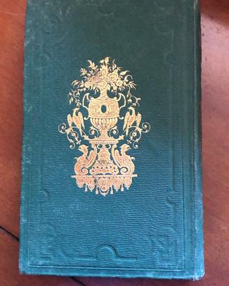 Buffon 1861 Mame cartonnage verde oro - Giraffa