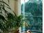 Immagine 7