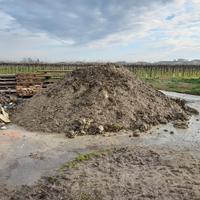 Terra pulita per giardino o riempimenti