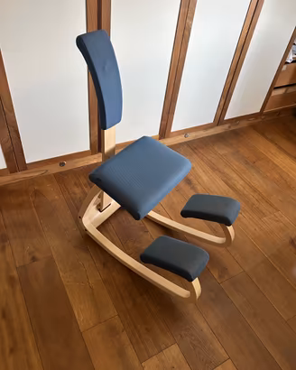 Sedia ergonomica Varier Variable Balans
