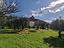 Immagine 28
