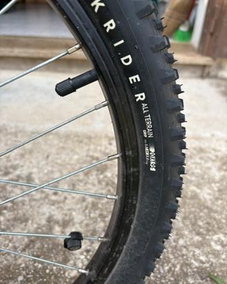 Bicicletta bimbo