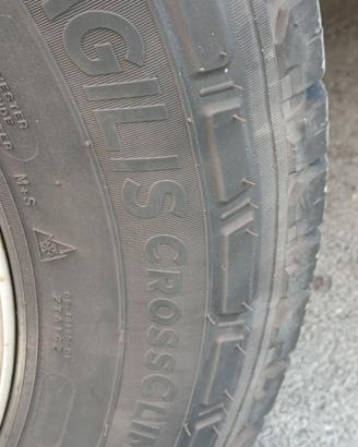MICHELIN AGILIS CROSS CLIMATE