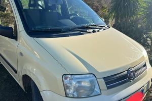 Vedo fiat panda