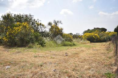 TER. RESIDENZIALE A MASCALUCIA