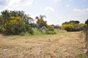 TER. RESIDENZIALE A MASCALUCIA