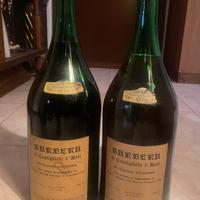 Barbera d’asti 1976