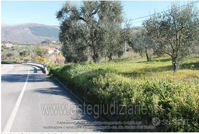 Terreno Agricolo Buccino [A4294204]